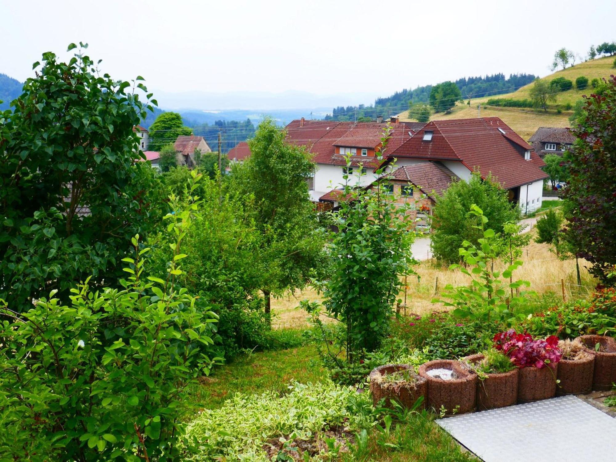 Апартаменти Haus Landblick Zell im Wiesenthal Екстер'єр фото